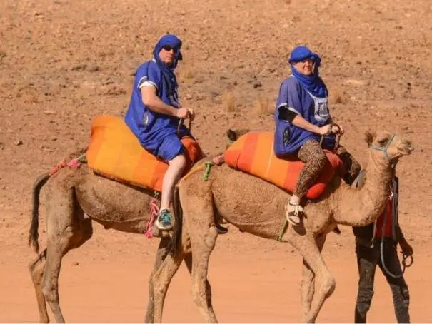 Camel experience in the Ouarzazate region