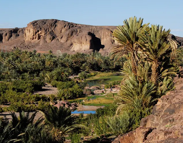 Palms and rocky hills at Fint Oasis