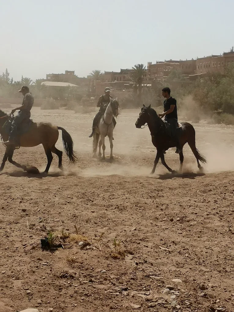 Horse riding — Aït Ben Haddou — operator photograph.
