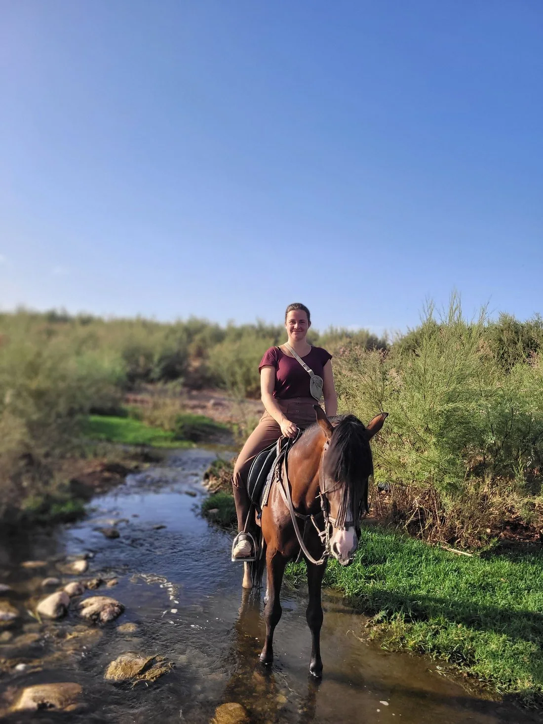Верховая езда — Fint Oasis — фотография оператора.