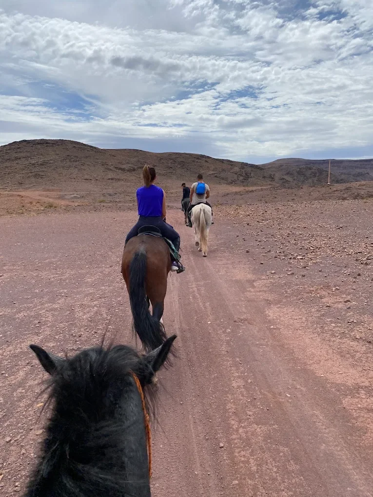 Équitation — Journée complète — photographie de l'opérateur.