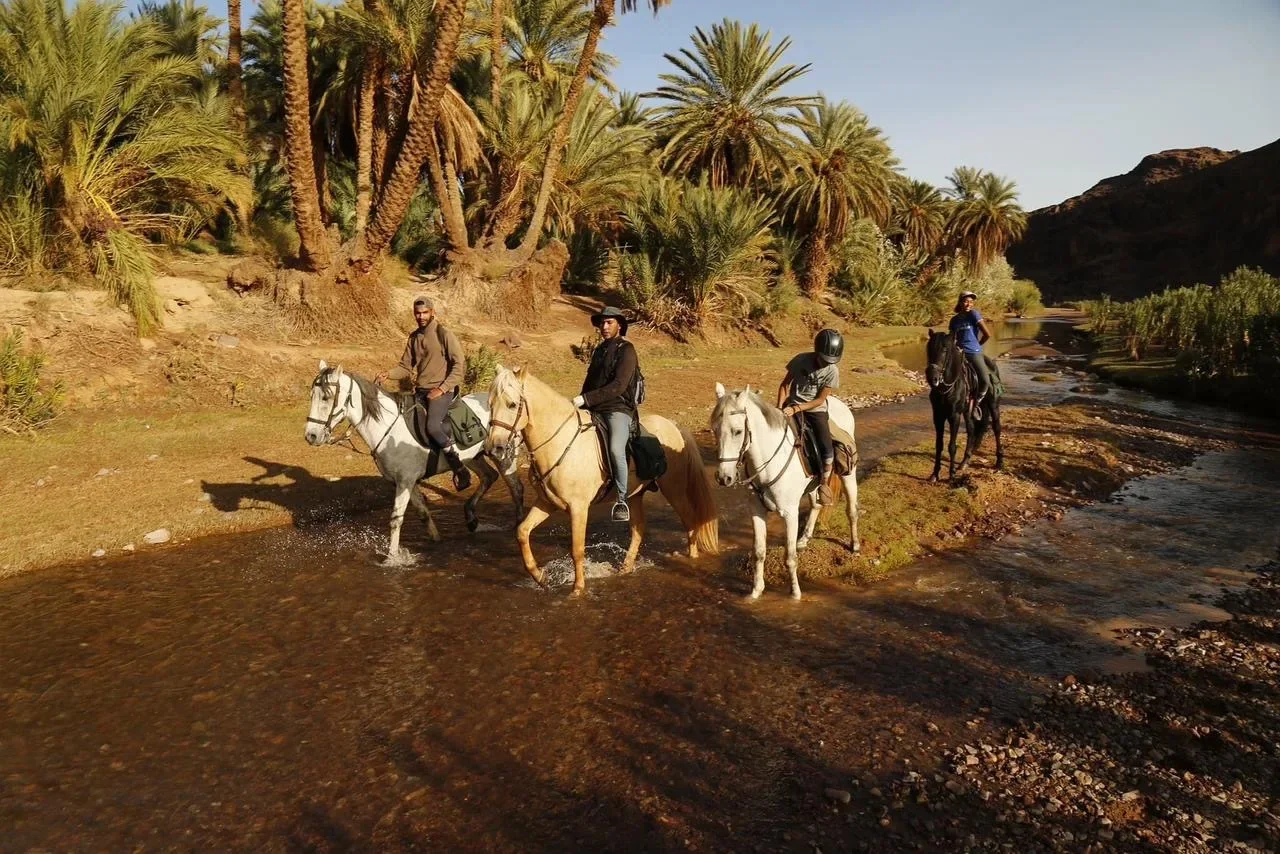 Équitation — Journée complète — photographie de l'opérateur.