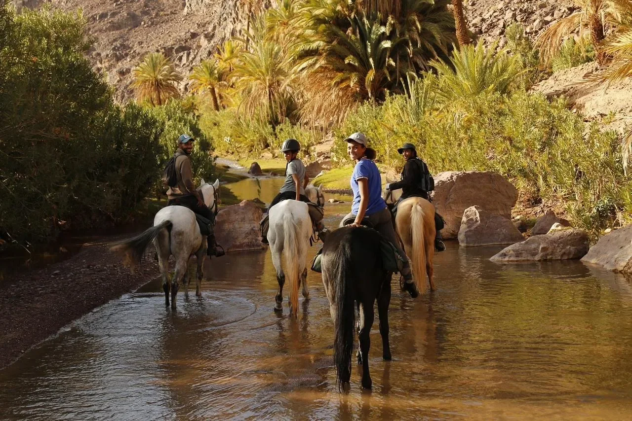 Équitation — Journée complète — photographie de l'opérateur.