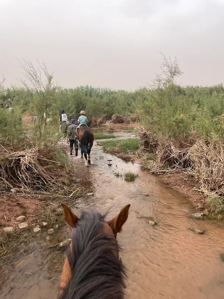 Horse riding — Kingdom of Heaven — operator photograph.