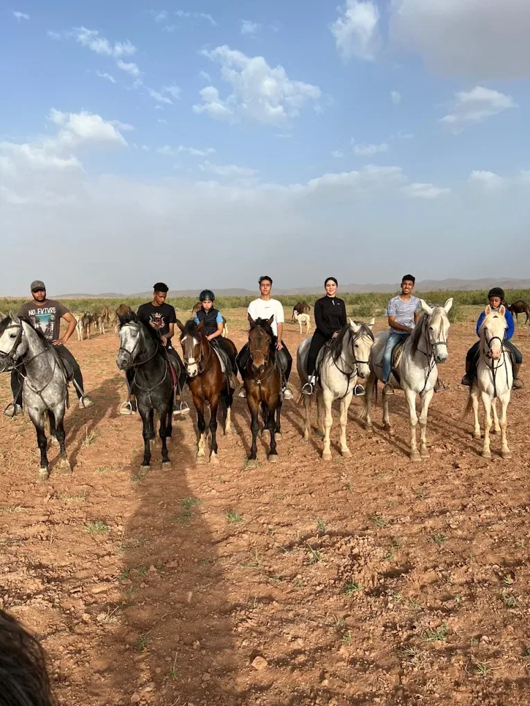 Horse riding — Kingdom of Heaven — operator photograph.