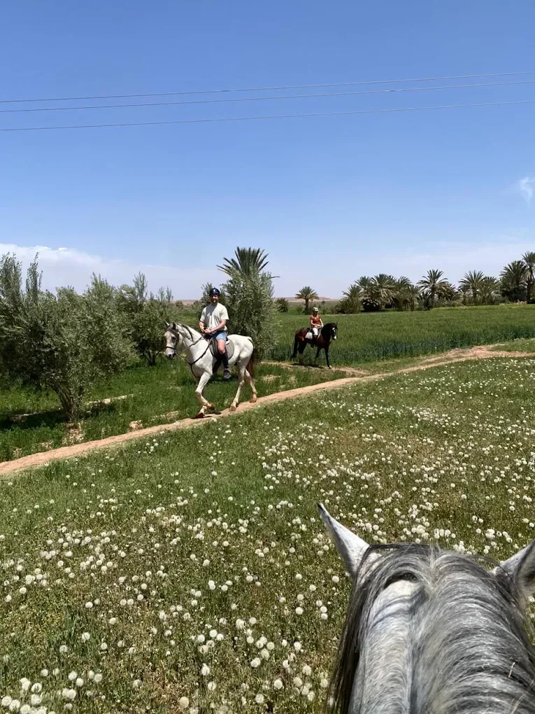 Equitazione — Tifoultoute — fotografia dell'operatore.