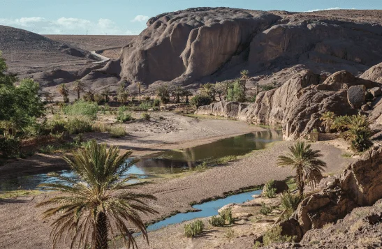 Oasis landscape in Tarmigt — Discover Ouarzazate tourism photography.