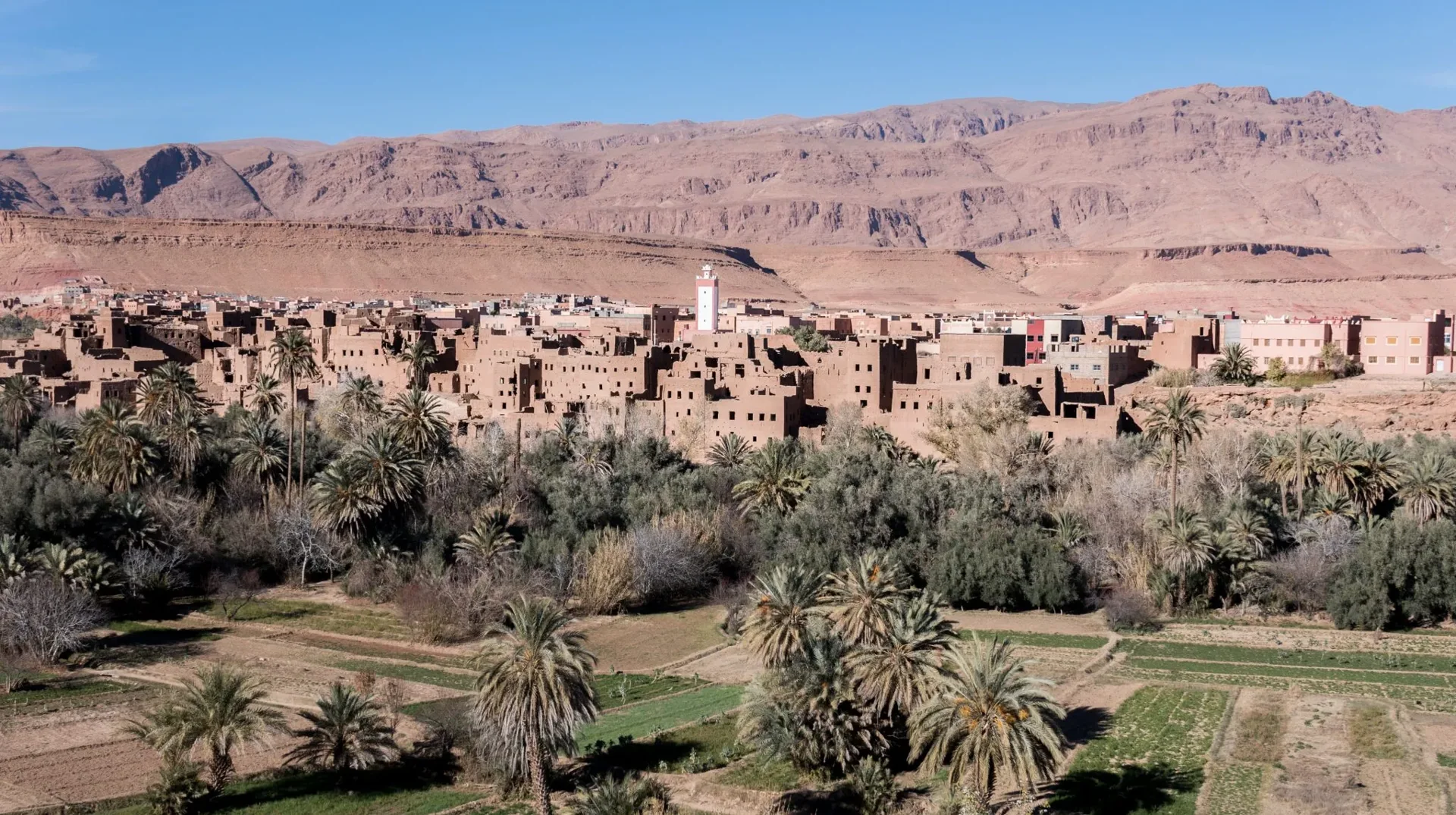 1000 Kasbahs Trail & Todgha Gorges — operator photograph.